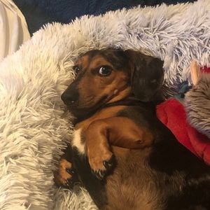 Meet your Posher, Jeanette